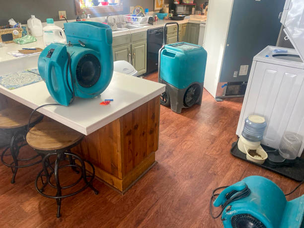 Best Local water damage restoration  in Hudson, PA
