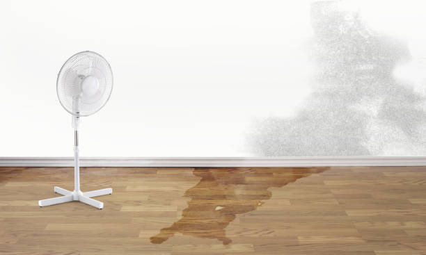 Best Commercial water damage restoration  in Hudson, PA