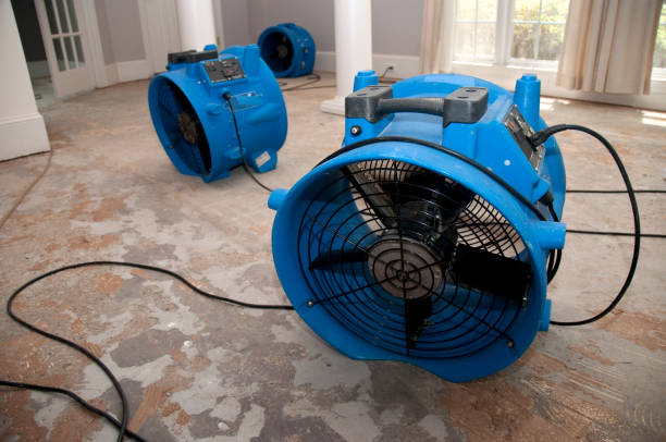 Best 24-hour water damage restoration  in Hudson, PA