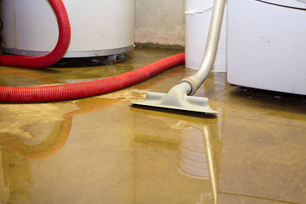 Best Flood restoration services  in Hudson, PA