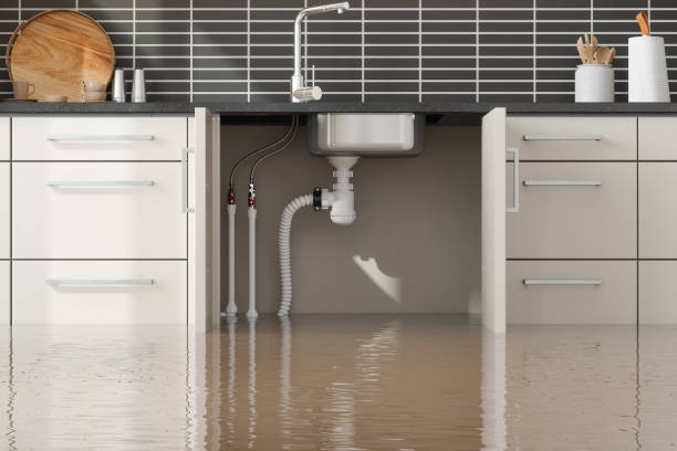Best Professional water damage repair  in Hudson, PA