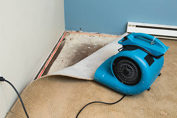 Best Water damage cleanup near me  in Hudson, PA